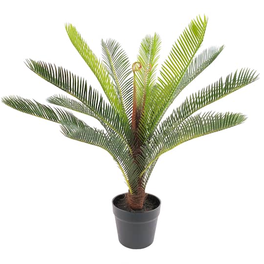 2ft. Premade Potted Sago Palm Plant by Ashland®